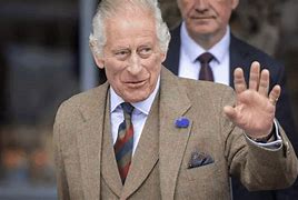 Image result for King Charles III Morning Suit