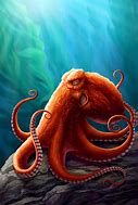 Image result for Giant Octopus Art