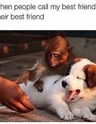 Image result for Forever Funny Best Friend Memes