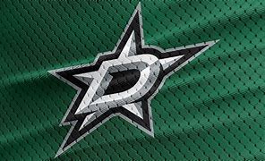 Image result for Dallas Stars Logo.jpg