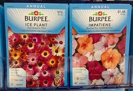 Image result for Burpee Challenge 20 Minute