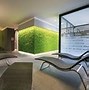 Image result for Garden Wall Moss