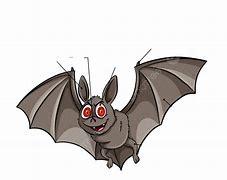 Image result for Bat Ear Diagram