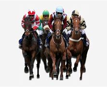 Image result for Horse Racing Pictire No Background