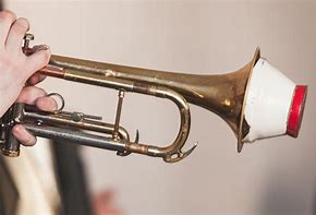Image result for Trumpet Mmute