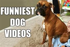 Image result for Funny Pictures YouTube
