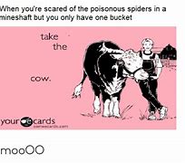 Image result for cowboy cows memes