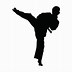 Image result for Karate Silhouette Vector