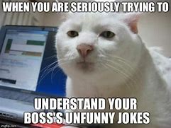 Image result for That Is Not Funny Meme