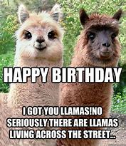 Image result for Happy Birthday Llama Meme