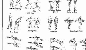 Image result for Swimming Exercises