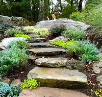 Image result for Natural Stone Steppng Stones