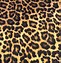 Image result for True Cheetah Print Background