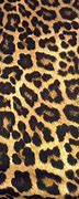 Image result for Leopard Print Digital Background
