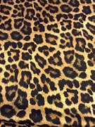 Image result for Free Cheetah Print Wallpaper