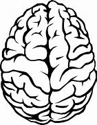 Image result for Brain Drawing Cartoon
