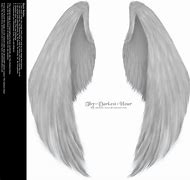 Image result for Folded Wings Drawing