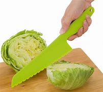 Image result for Utility Knife or Salad Knife