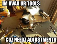 Image result for Fix Your Cat Meme