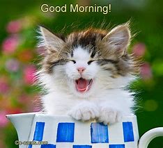 Image result for Funny Good Morning My Dear Friend