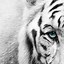 Image result for Black and White iPhone 7 Wallpaper