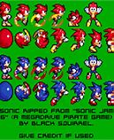 Image result for Sega Sonic the Hedgehog Sprites