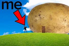 Image result for Inside of the Biggest Potato