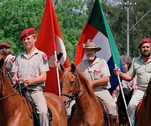 Image result for AWB South Africa Horse