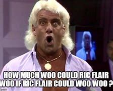 Image result for Ric Flair Meme