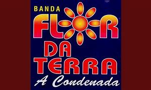 Image result for condesijo