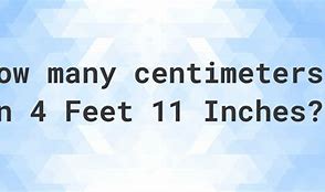 Image result for 4 Feet 11 Inches in Cm