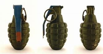 Image result for Modern Hand Grenade