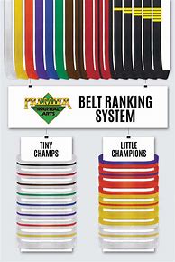 Image result for Belt Ranks