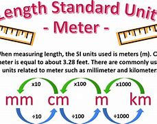 Image result for What Is a Standard Meter