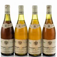 Image result for Madame Francois Colin Chassagne Montrachet Vergers