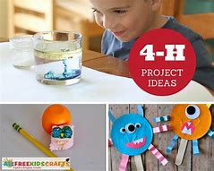 Image result for 4-H Craft Project Ideas
