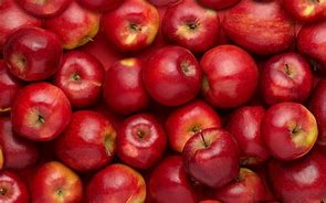 Image result for Apple Fruit HD