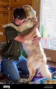 Image result for Man Hugging Dog Statue