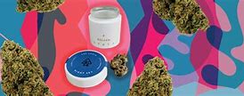 Image result for Marijuana Petco Catnip Brand