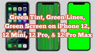 Image result for How to Fix My Green iPhone Screen