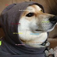 Image result for Adventure Doge Meme