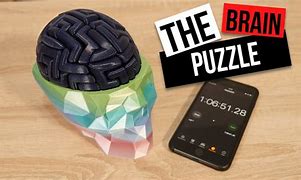 Image result for 3D Printed Brain Puzzle