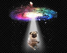 Image result for Galaxy Pugs