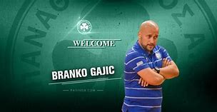 Image result for Braco Gajic