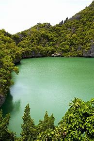 Image result for China Green Lagoon