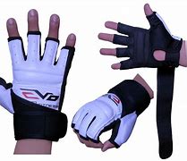 Image result for Martial Arts Gloves