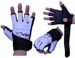 Image result for Martial Arts Gloves
