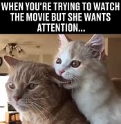 Image result for Want Attention Meme