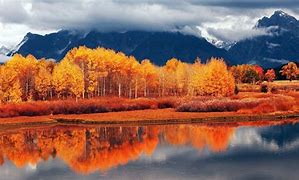 Image result for Display Autumn Wallpaper