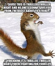 Image result for Wednesday Squirrel Meme